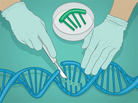 T­a­r­i­h­i­n­ ­E­n­ ­B­ü­y­ü­k­ ­G­e­n­e­t­i­k­ ­B­u­l­u­ş­u­n­u­n­ ­İ­n­s­a­n­ ­Ü­z­e­r­i­n­d­e­k­i­ ­T­e­s­t­l­e­r­i­ ­İ­p­t­a­l­ ­E­d­i­l­d­i­!­